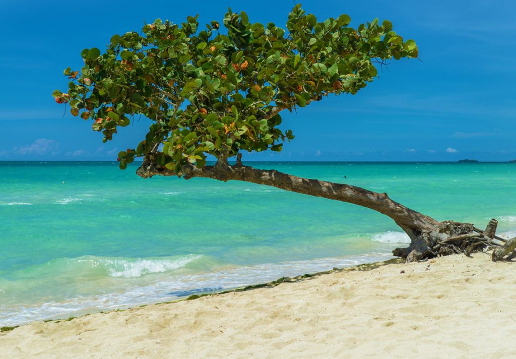 Jamaika Rundreisen relaxen am Sandstrand