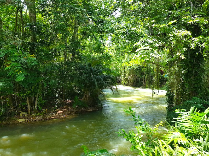 Jamaika Reisebericht, Martha Brae River